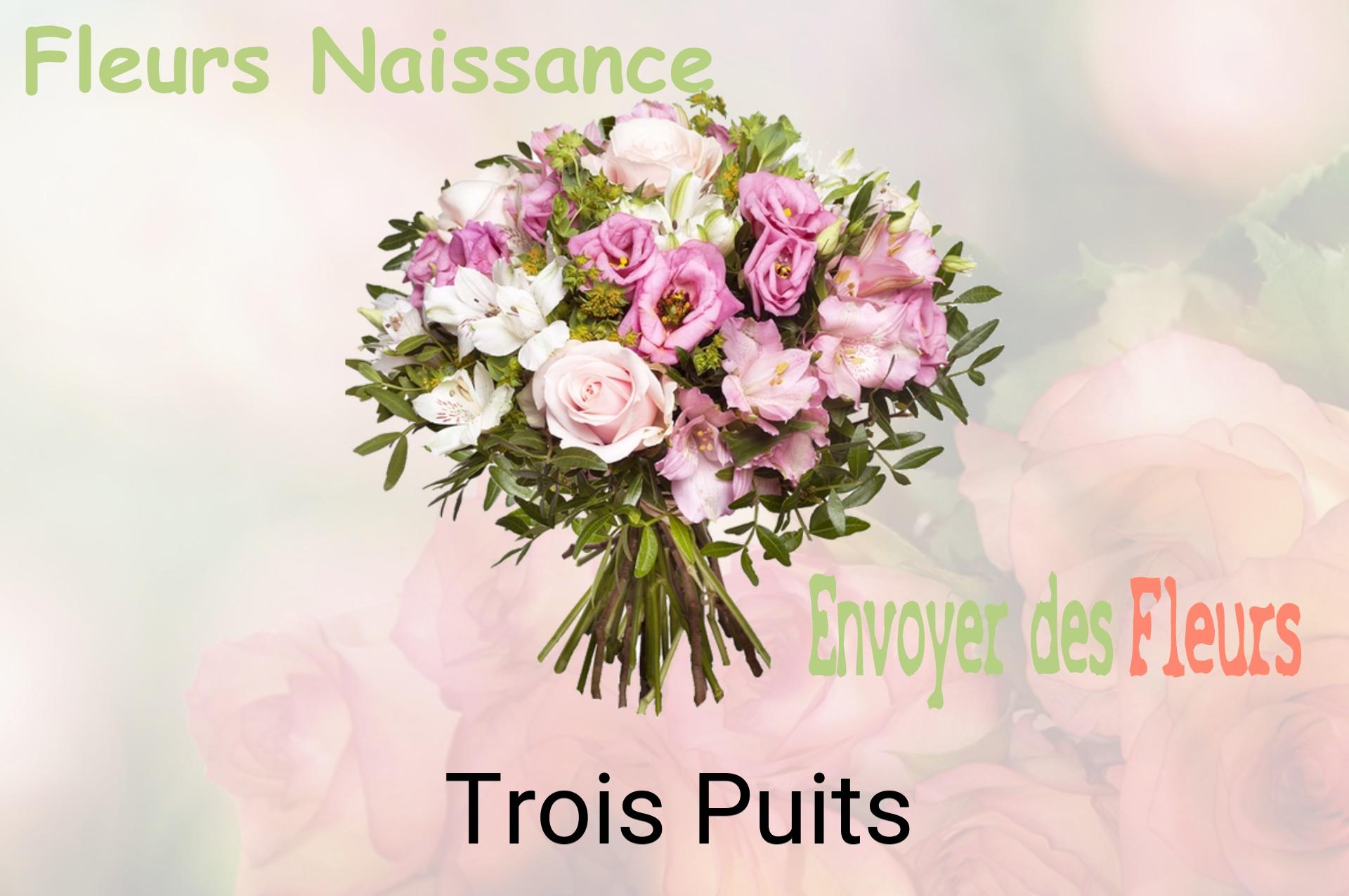 Bouquet de fleurs de naissance livré à Trois-Puits